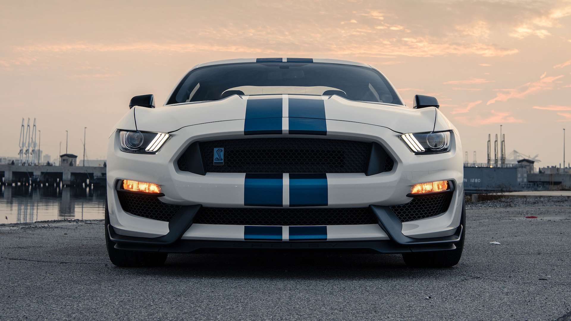 www.motortrend.com