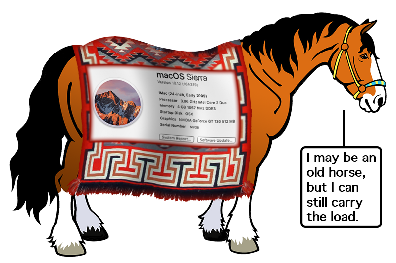 sierra-horse.png