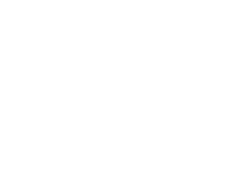 www.bigleaf.net