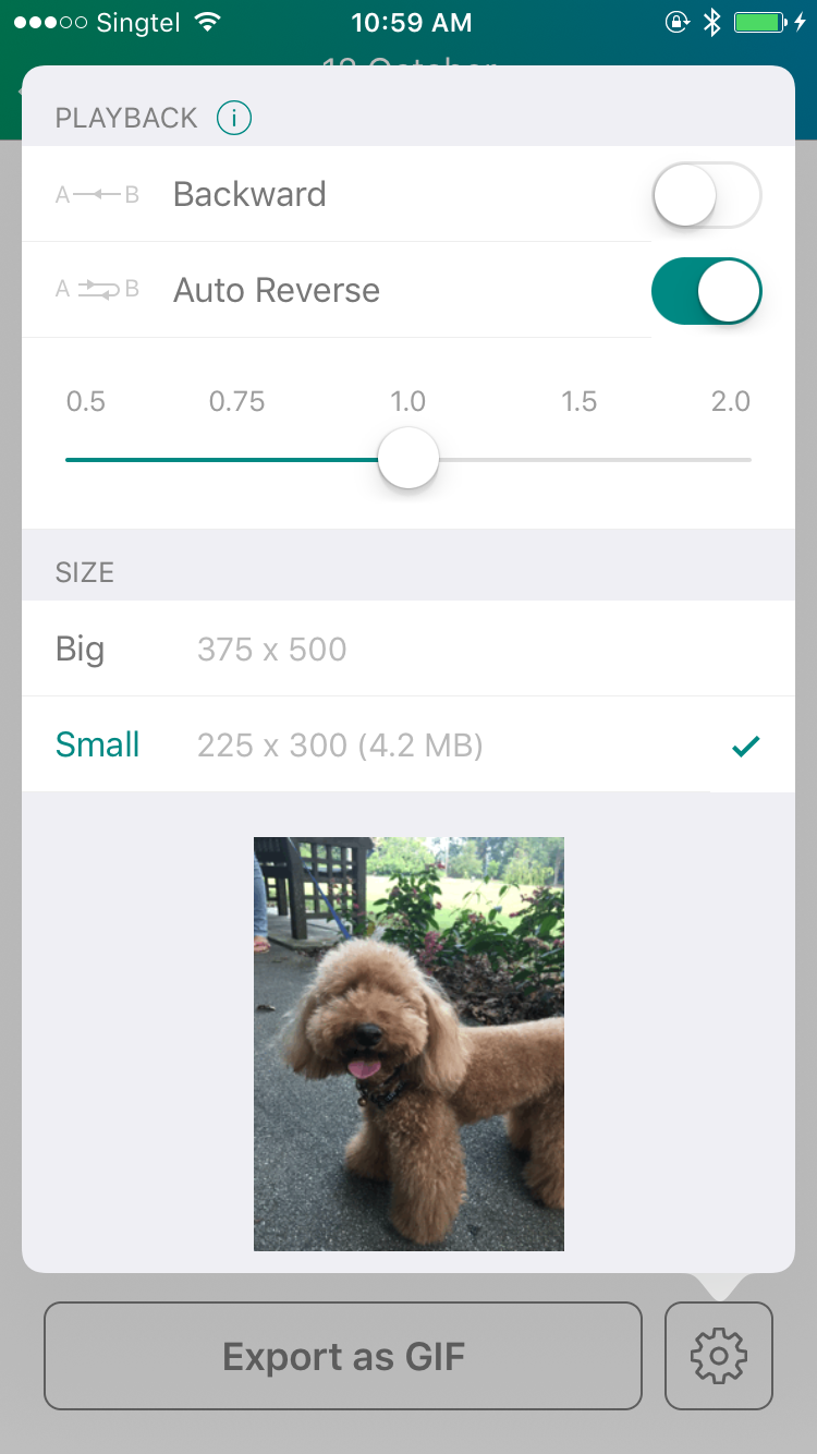 new_gif_controls.png
