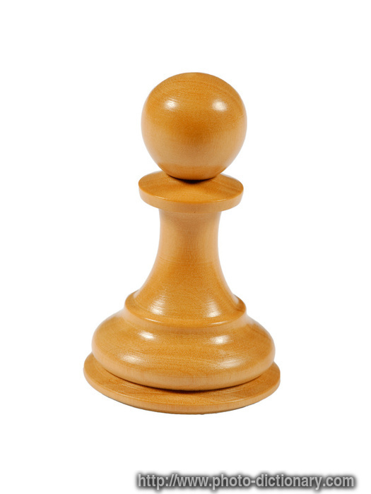 7276chess_pawn.jpg