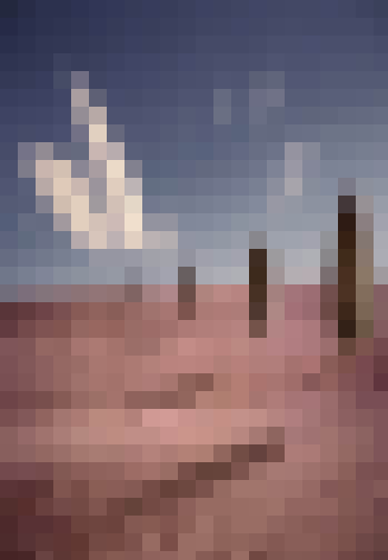 pixellated.jpg