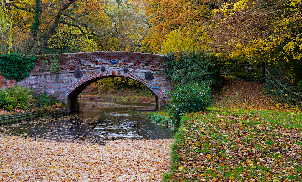 basingstoke_canal.jpg