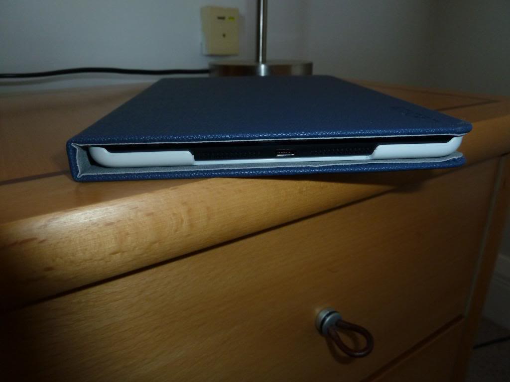 P1000394.jpg