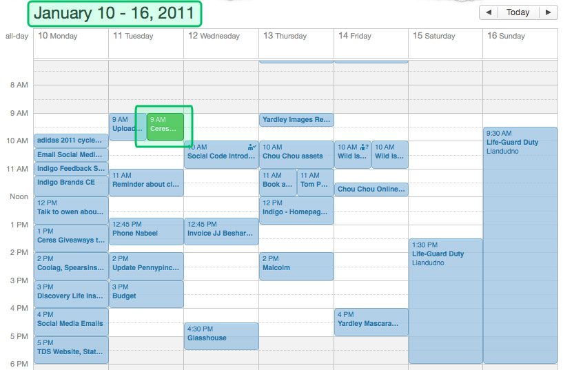 iCal-Screengrab.jpg