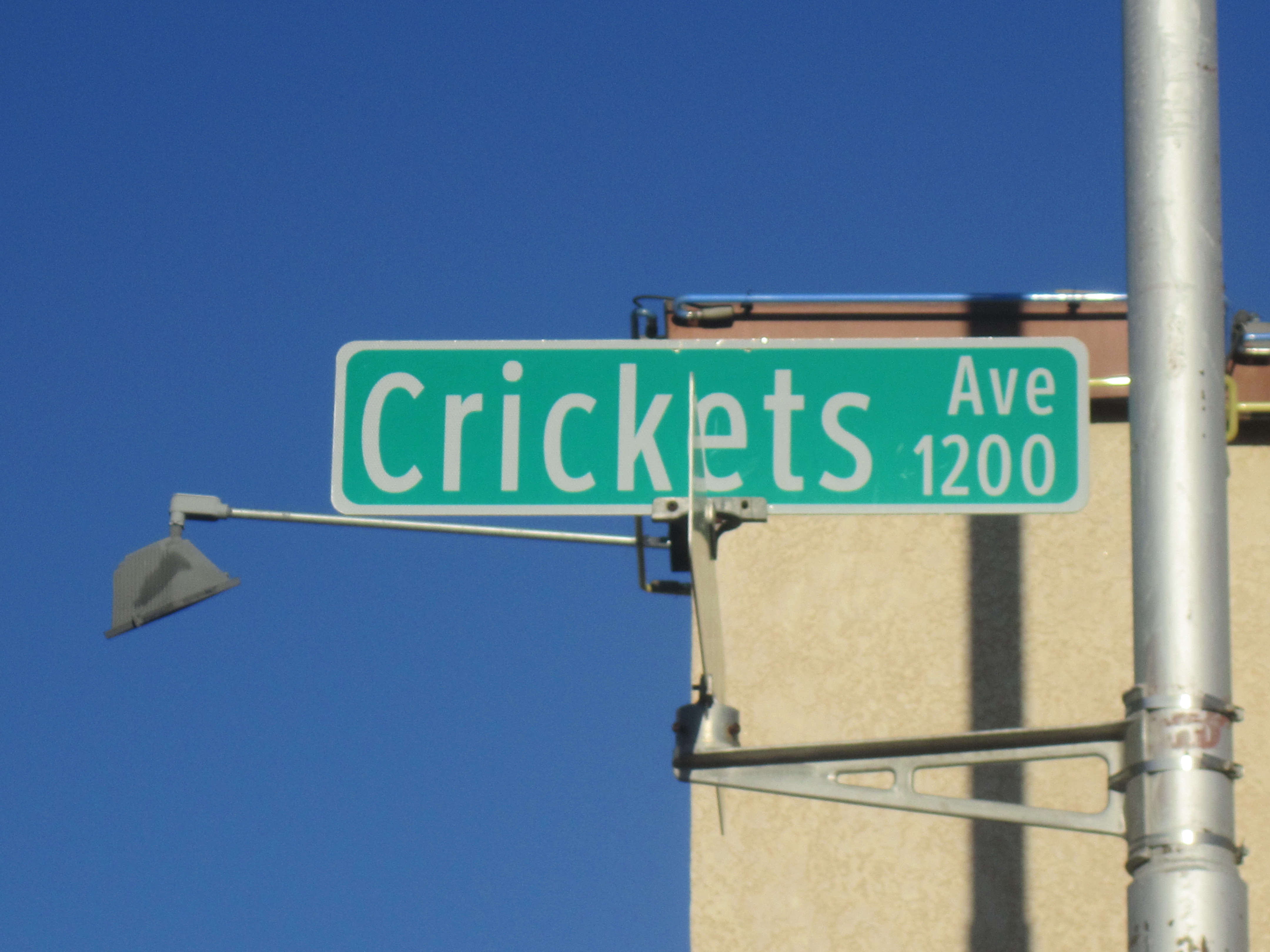 The_Crickets_Avenue,_Lubbock,_TX_IMG_1641.JPG