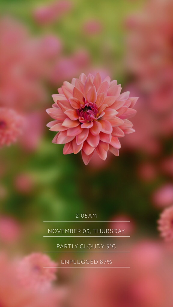 bed56213b2cd29dc8c763d7544f9ef99.png