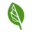 www.bigleaf.net