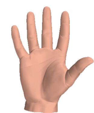 hands.jpg