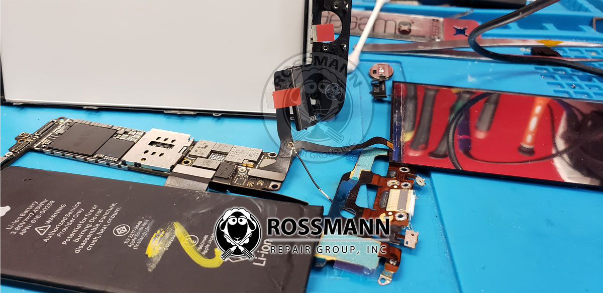 www.rossmanngroup.com