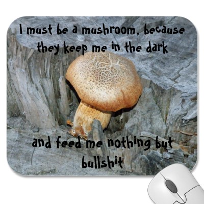 mushroom2.jpg