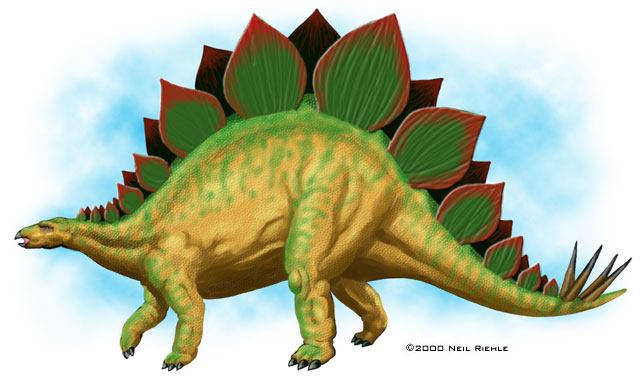 stegosaurus.jpg