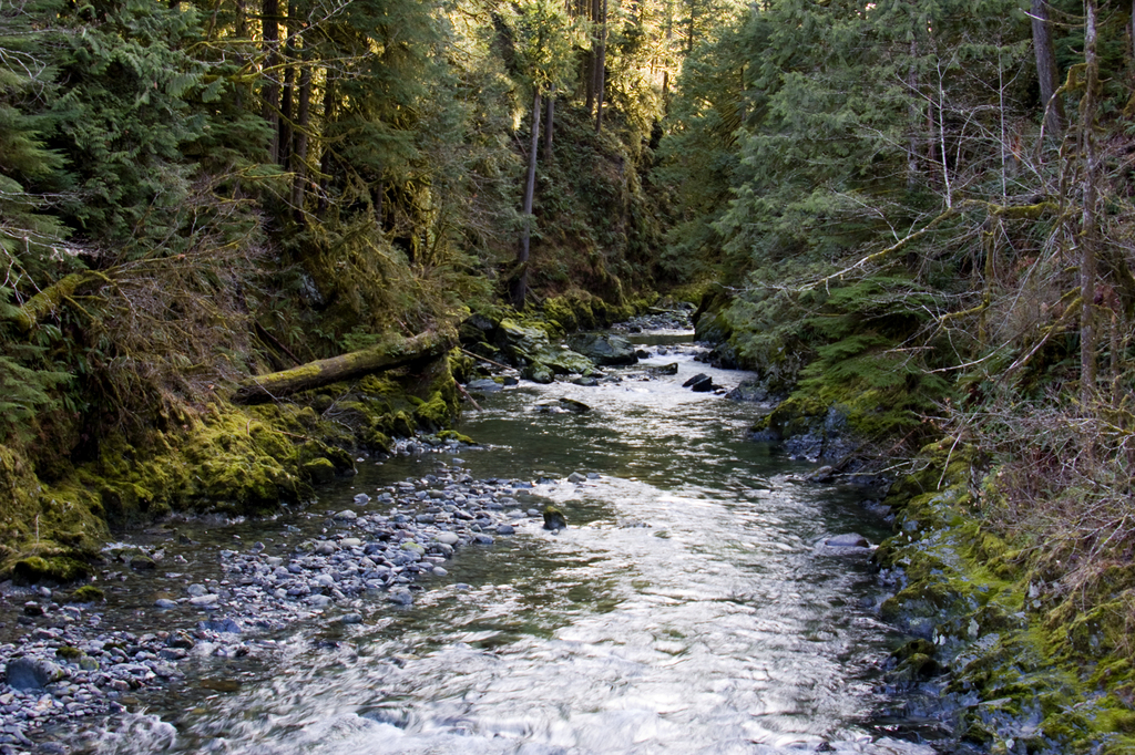 clearcreek3.jpg