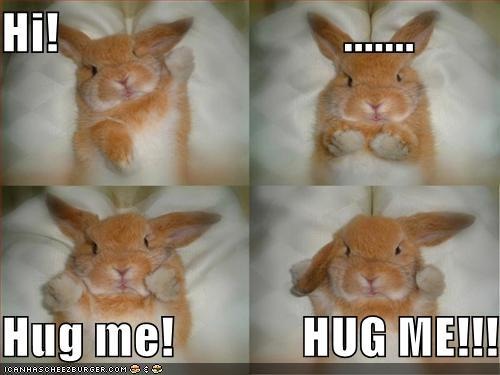 funny-pictures-bunny-wants-hug.jpg