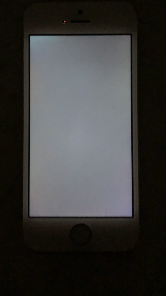 974C8887-CAD8-42EC-96B5-88B0CED0E722.png