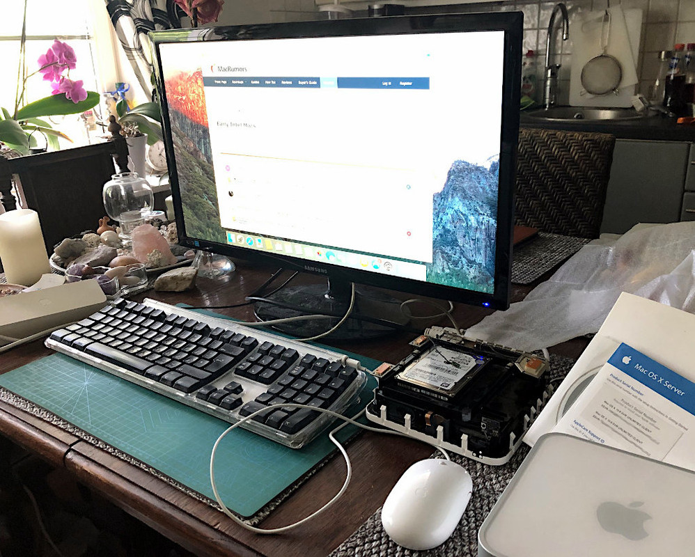 Mac-Mini-Server-2009.jpg