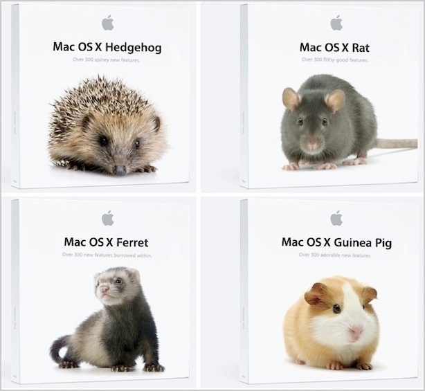 mac-osx-lion-rat.jpg