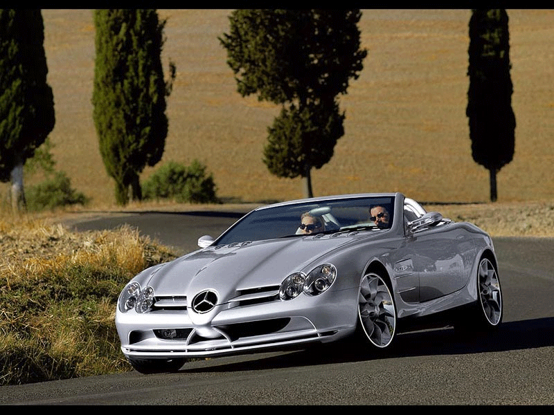 SLR-2.gif