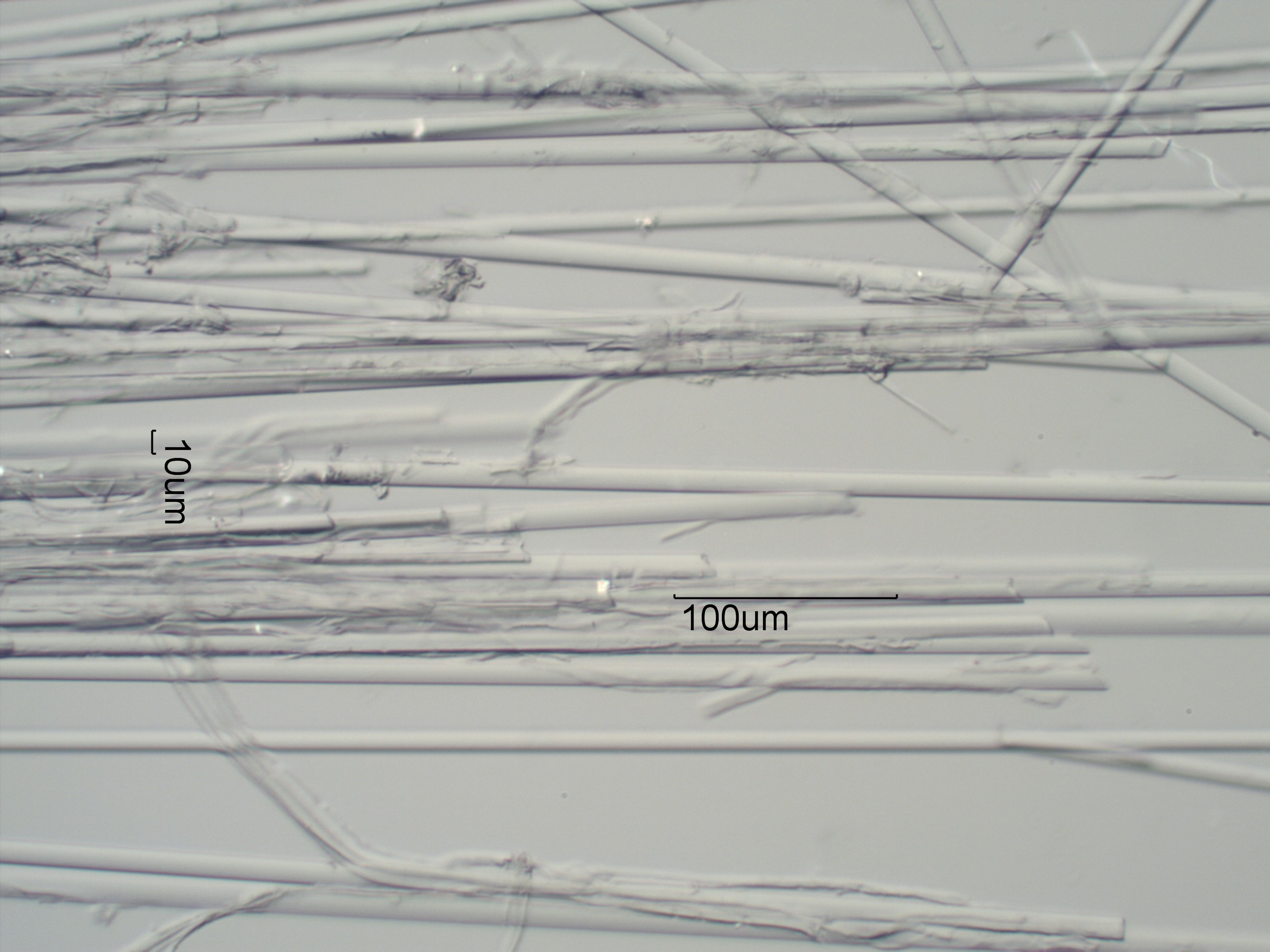 Glass%20Fiber%20Joint%20Tape.jpg