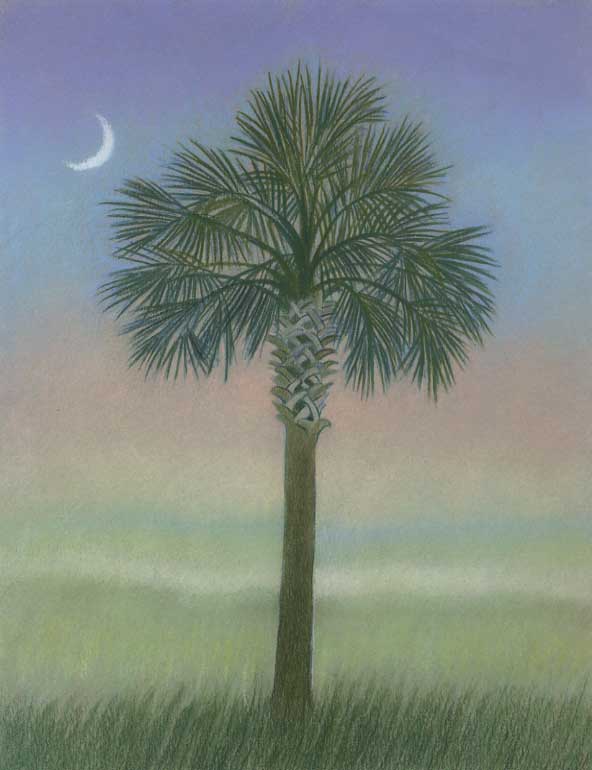 20080407002149_palmetto-tree.jpg