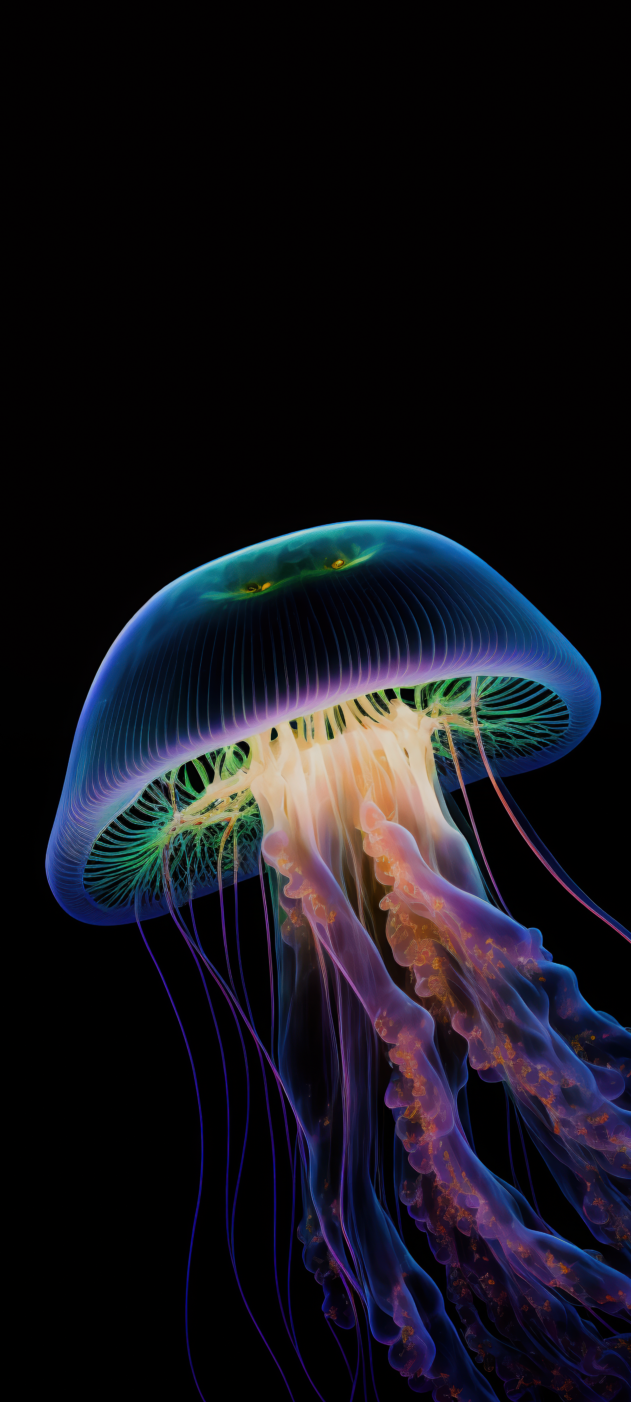 c191ec304832574b18410c15d8b2f559.png