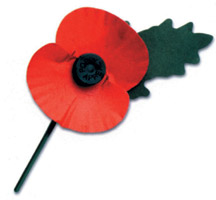 remembrance-poppy2.jpg