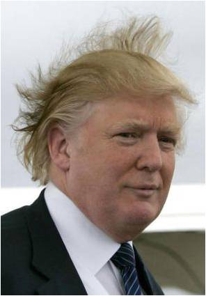 trump-hair.jpg