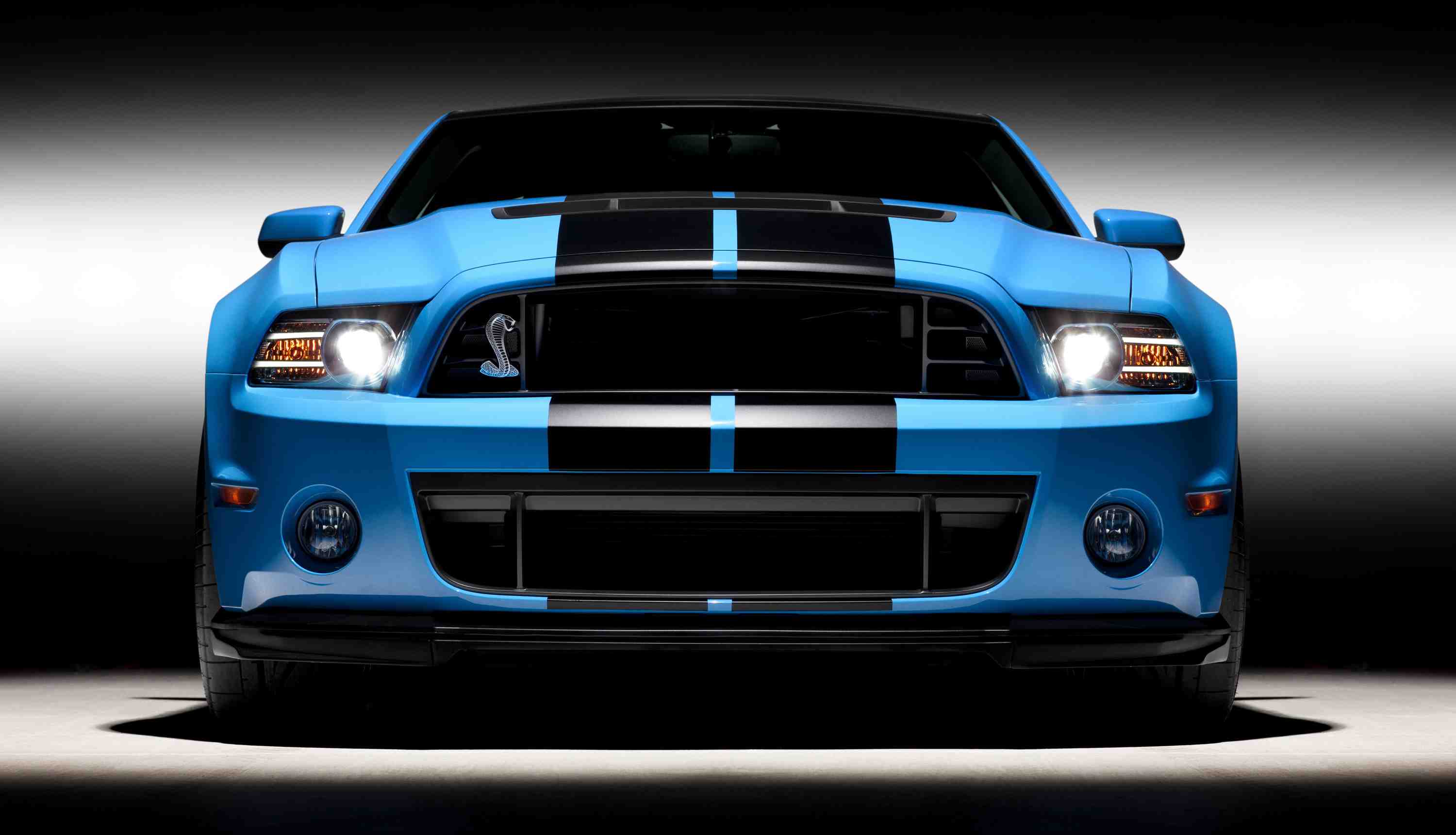 2013-Shelby-GT500.jpg