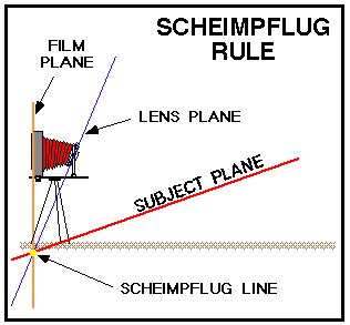 Scheimp3.gif