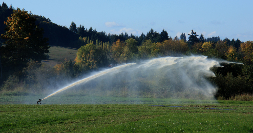 fieldsprinkler.jpg