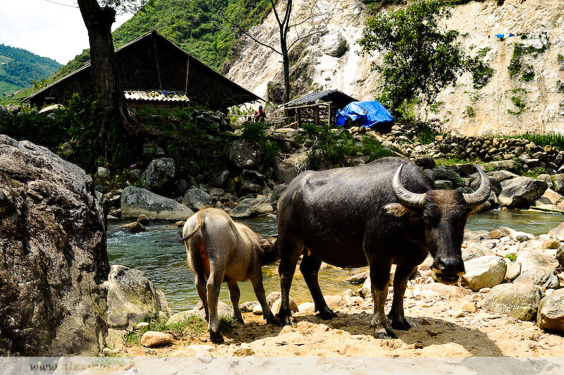 people-of-laocai-sapa-vietnam17.jpg