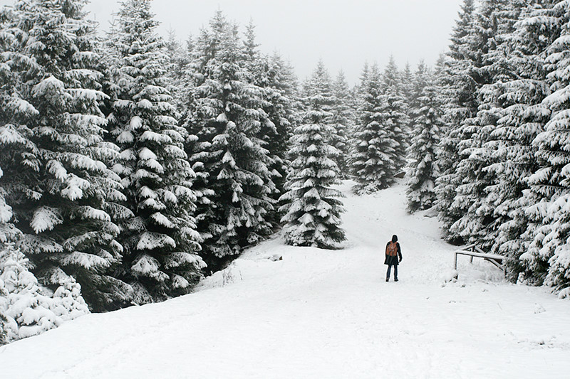 harz-0064.jpg