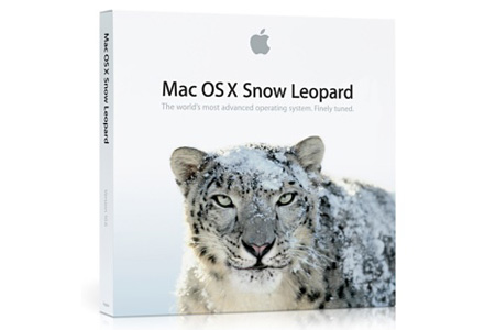 snow-leopard-box.jpg