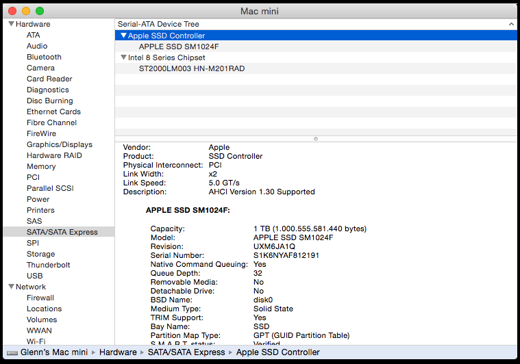 Mac%20mini%202014%20-%201%20TB%20SSD%20blade%20info.png
