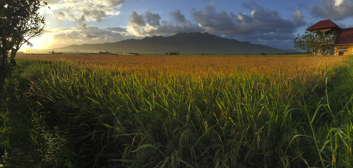 bicol.jpg