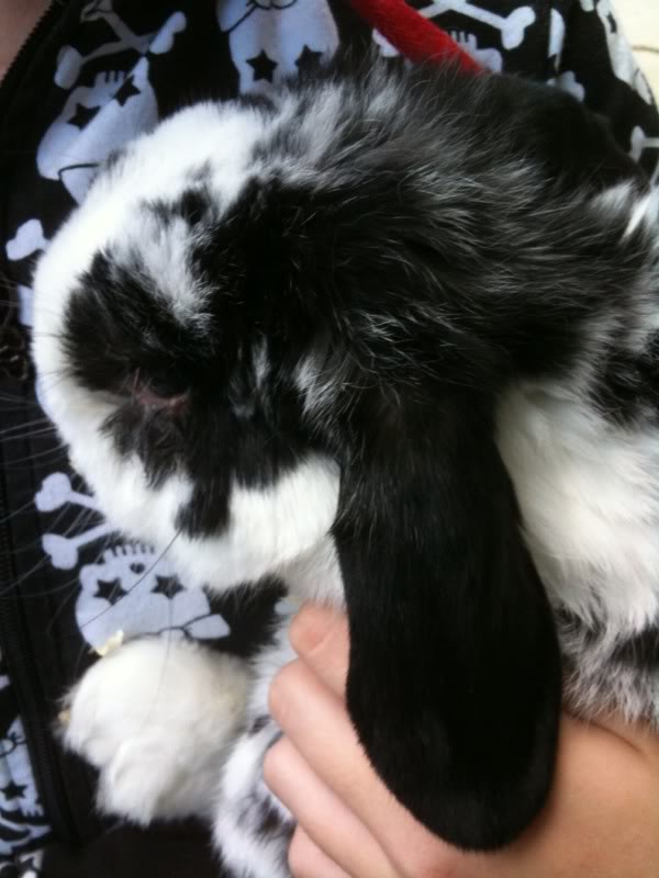 fuzzy.jpg