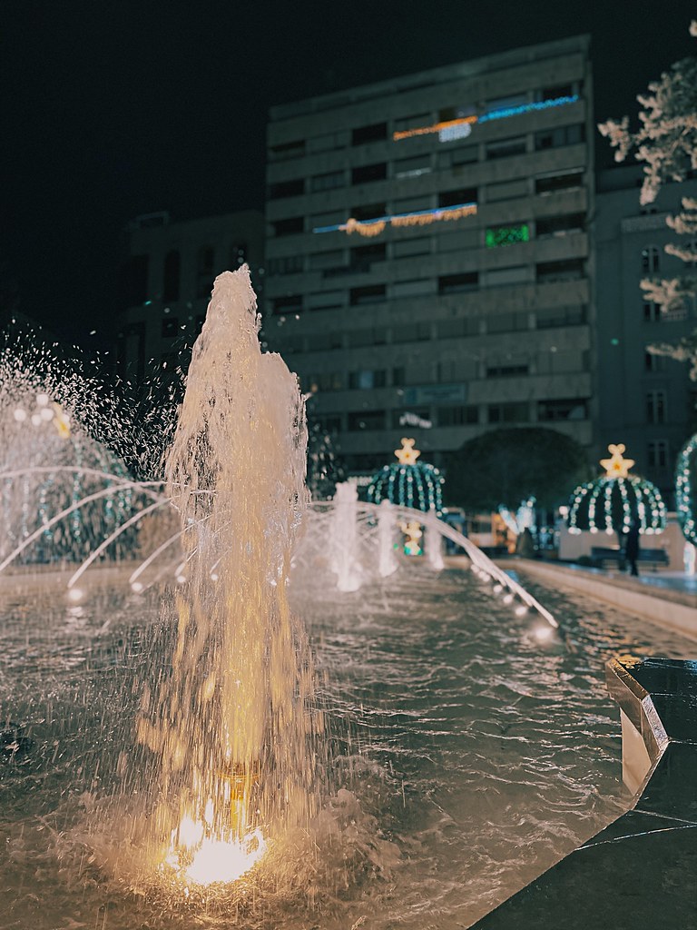 50809120823_38bb5a31c0_b.jpg
