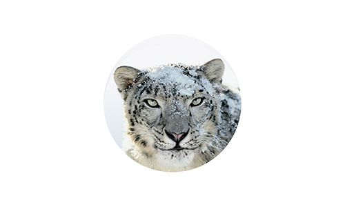 Mac-OSX-Snow-Leopard.jpg