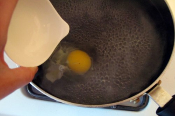 poach%20egg%20drop_use.jpg