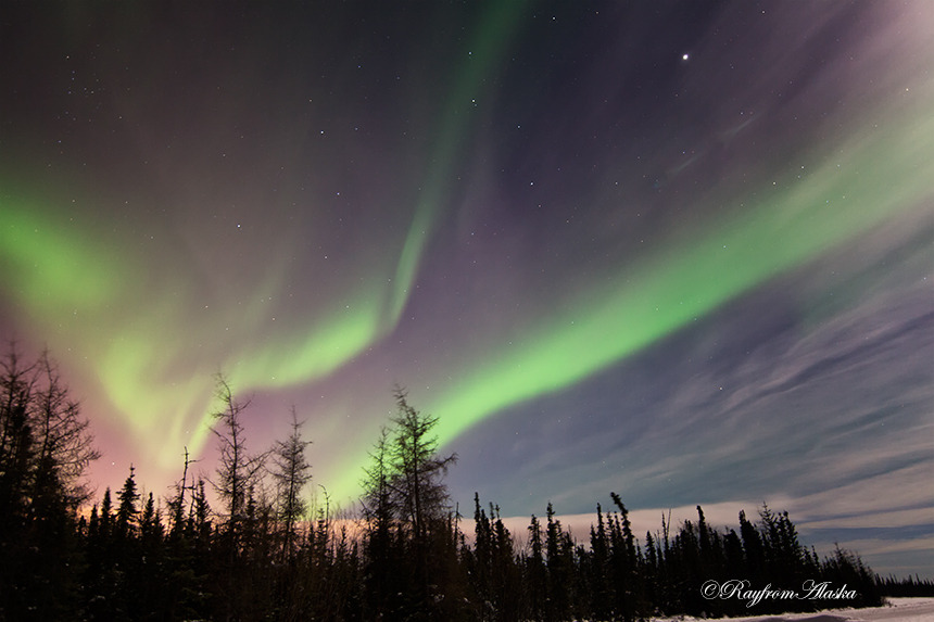 Auroras02-15_3110_zpss0gpwk1w.jpg