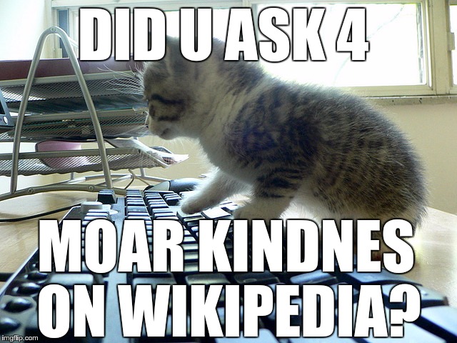 DID_U_ASK_4_MOAR_KINDESS_ON_WIKIPEDIA.jpg