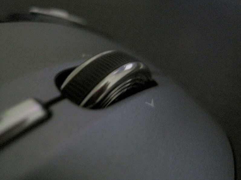 Pic2.jpg