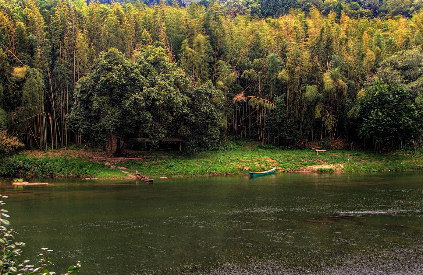 B_PICT3941_2_3_4_0_Fisher.jpg