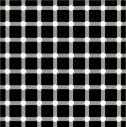 Grid_illusion.png