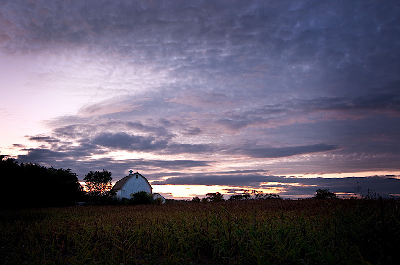 FarmFieldDusk-33-Edit.jpg