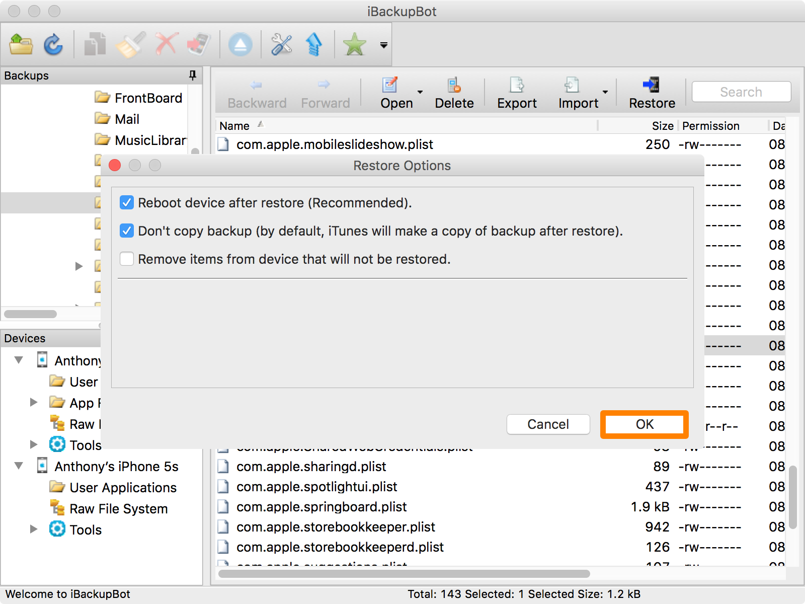 iBackupBot-Check-First-Two-Options.png