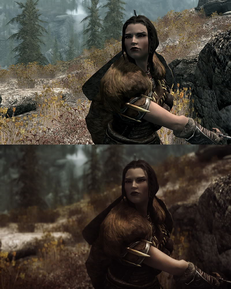 enb113beforeafter.jpg