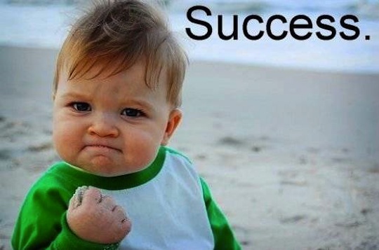 success-ftw-meme.jpg