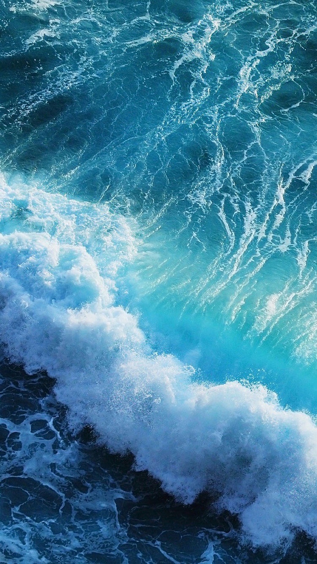 93ad8866476d5213cf010b2a909ee517.jpg