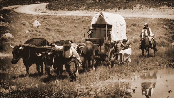 Wagon-in-Marsh.jpg